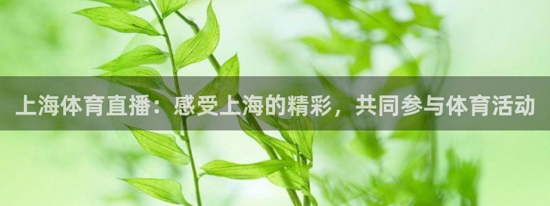 上海体育直播：感受上海的精彩，共同参与体育活动
