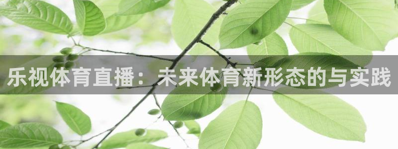 乐视体育直播：未来体育新形态的与实践