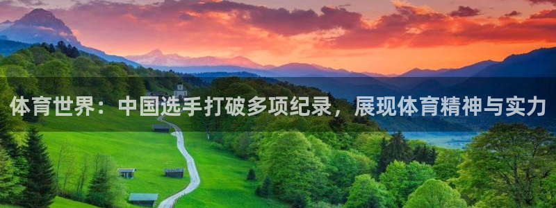 体育世界：中国选手打破多项纪录，展现体育精神与实力