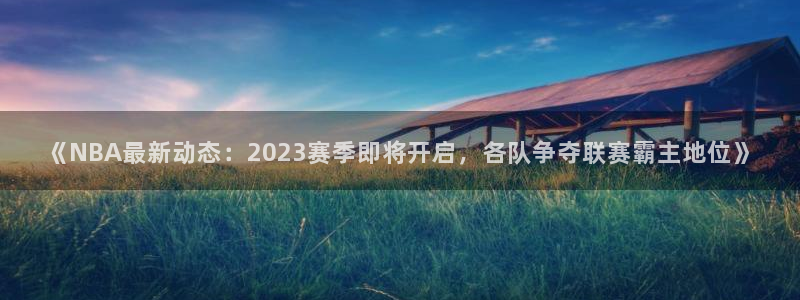《NBA最新动态：2023赛季即将开启，各队争夺联赛霸主地位》