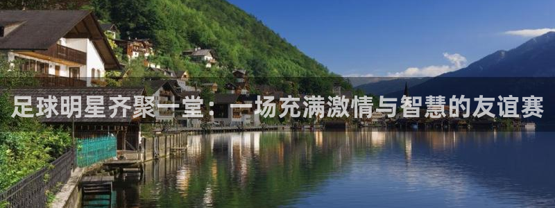 足球明星齐聚一堂：一场充满激情与智慧的友谊赛
