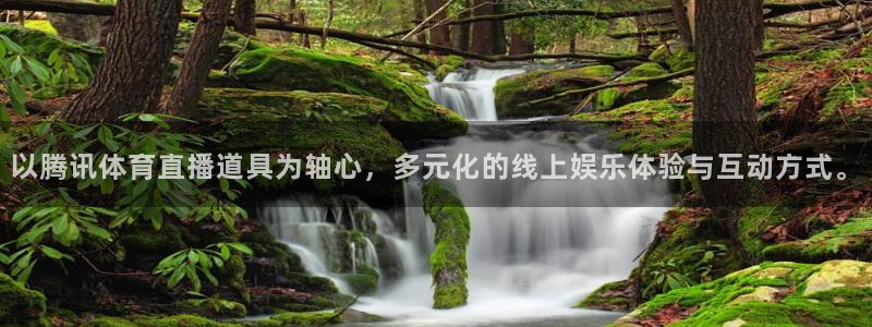 以腾讯体育直播道具为轴心，多元化的线上娱乐体验与互动方式。