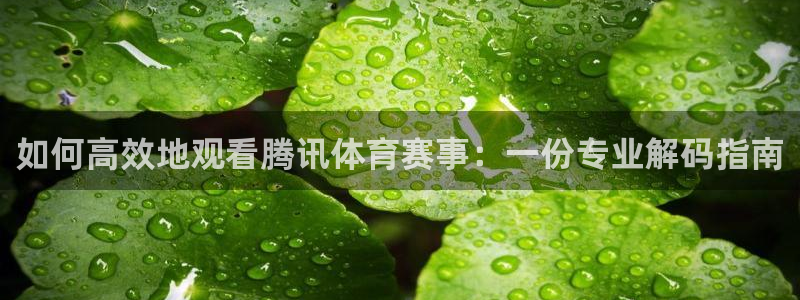 如何高效地观看腾讯体育赛事：一份专业解码指南
