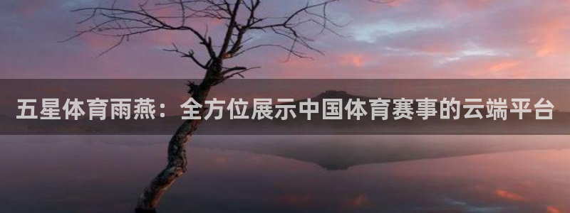 五星体育雨燕：全方位展示中国体育赛事的云端平台