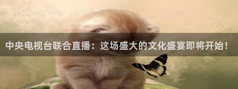 中央电视台联合直播：这场盛大的文化盛宴即将开始！