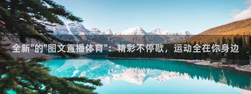 全新\