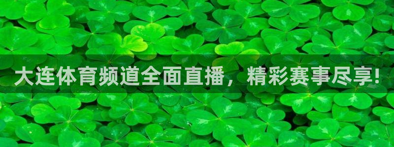 大连体育频道全面直播，精彩赛事尽享!